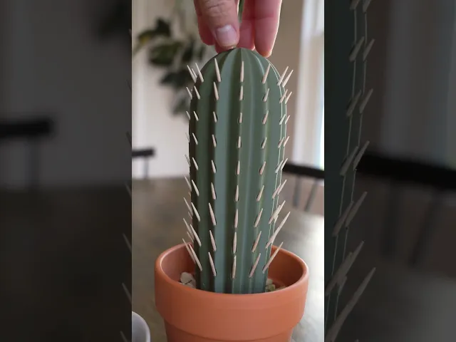 Cactus Toothpick holder video thumbnail