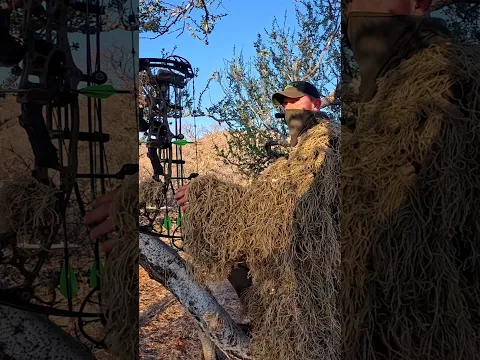 Treestand Bowhunting In Africa!