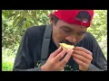 Download Lagu REVIEW, Durian super tembaga di kebun durian agus Widodo 🌳🌳🌳🌳 #durianfruit 