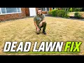 If Your Lawn Is Like Straw Then This Is The Answer