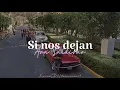 Download Lagu Ara Saldivar— Si Nos Dejan (Letra)