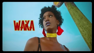mr leo asabe official video dir by dr nkeng stephens
