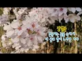장범준 - 흔들리는 꽃들 속에서 네 샴푸 향이 느껴진 거야 1시간듣기 [가사] 멜로가 체질 ost