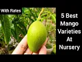 Download Lagu Top best 5 varieties of mango at nursery with price,  नर्सरी में आम की 5 बेहतरीन किस्मे.....