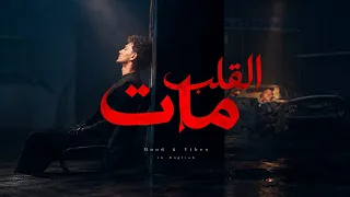                                            حوده   القلب مات دندنها