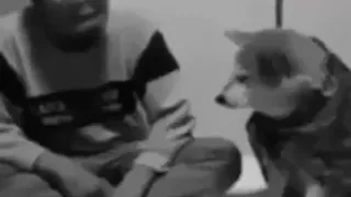 اشكد وفي اوفى من بني ادم 