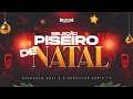 SELEÇÃO PISEIRO DE NATAL 2024 - DJ Felipe Alves