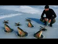 Download Lagu Fisherman Amazed People With his Techniques /Strange Fish Traps  