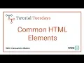 Woz U Learn to Code Common HTML Elements Learn HTML CSS
