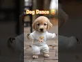 Download Lagu Dog Dance Motorcycle 🏍😂  #Dog #motorcycle #dance #dogdance #petdance #pet #goldenretriever