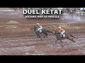 Download Lagu DUEL KUJANG MAS VS NAKULA KELAS CD