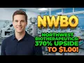 Northwest Biotherapeutics 370 Upside to 1 00 NWBO Stock Analysis