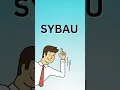 What Does SYBAU Mean?