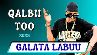 Galata Labu QALBII TOO New Oromo Music 2025 