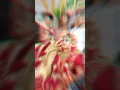 Download Lagu Indian wedding video album #india #viral #bollywood #trending #wedding #shorts @utkarshvlogs472
