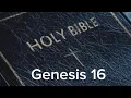 Genesis 16 NIV The Bible