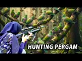 Download Lagu BERBURU PERGAM JUMBO DI HUTAN LEBAT! DAPAT BESAR BANGET!