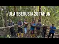 Download Lagu 14 ORANG TANGKAP ULAR TERBESAR BERUSIA 20 TAHUN