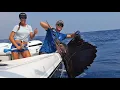 SAILFISH Madness Part 1