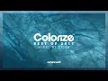 Download Lagu Colorize - Best Of 2017, Mixed By Dezza [OUT NOW]