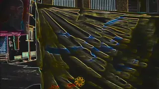 شاهین نجفی خالی 