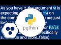 Python argparse command line flags without arguments