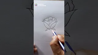 Easy Rose Flower Drawing Step by Step | Simple Rose Sketch Drawing Tutorial
