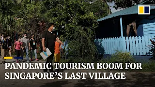 Singapore S Last Traditional Village Becomes Local Tourism Hotspot Amid Coronavirus Pandemic 