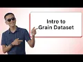 JAX Data Loading Using the Grain Dataset API for Simple and Declarative Data Processing