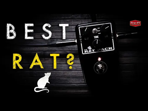 Tru-Fi The Rat Pack Distortion | Delicious Audio