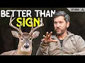 Clay Newcomb Why Most Deer Hunters Read Sign Wrong
