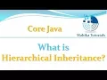 Core Java 42 - What is Hierarchical Inheritance