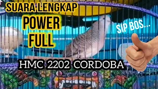 Download BEGINI CONTOH SUARA PERKUTUT BANGKOK YANG BAGUS UNTUK INDUKAN RING HMC BIRD FARM MP3