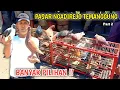 Download Lagu PERBURUAN MERPATI LANJUT KE PASAR NGADIREJO TEMANGGUNG BISA TES TERBANG SEJAUH YANG KAMU MAU PART 2