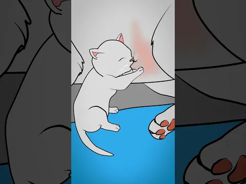 ❤️ Darum machen Katzen den Milchtritt
