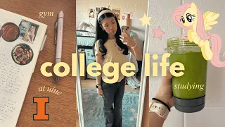 life as a college student freshman year at uiuc