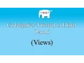 CodeIgniter Tutorial Views Part-6