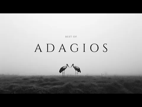 Download MP3 Best of Adagios - Classical Music Gems