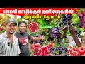 Download Lagu தனி ஒருவரின் முயற்சியில் பிரமாண்ட தோட்டம் | Jaffna palali Garden