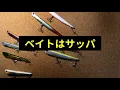 Seabass lures that can be used all year round! The world of Manic & Manic Fish! - Versatile lures...
