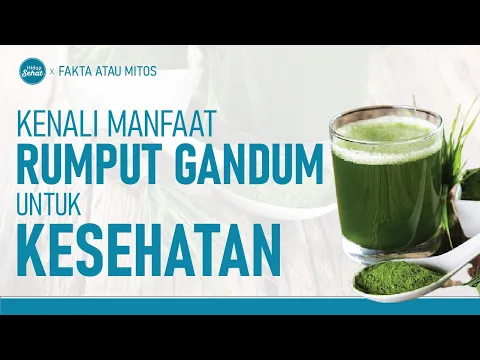 Rumput Gandum! Khasiatnya Ajaib Cegah Penyakit Kronis