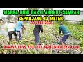 Download Lagu WARGA BUNI BAKTI ANGKUT SAMPAH SEPANJANG 10 METER ||BAHAYA ADA PIPA PERTAMINA DAN ULAR #dedimulyadi