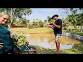 Download Lagu ALGUEM JA VIU ISSO? OLHA SÓ O QUE ACONTECEU HOJE AQUI NA ROÇA .