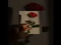 Download Lagu كلام عينيه ( 𝑺𝑷𝑬𝑬𝑫 𝑼𝑷 ♪ )