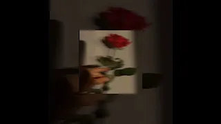 كلام عينيه 𝑺𝑷𝑬𝑬𝑫 𝑼𝑷 