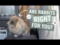 Download Lagu Watch THIS before getting a rabbit 🐰