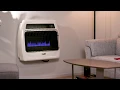 Dyna-Glo Signature Series Blue Flame Wall Heaters