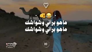 ٧ سبتمبر  ٢٠٢٦ دندنها