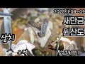 25년 시즌의 끝물, 이 놈들은 이제 시작입니다🌟