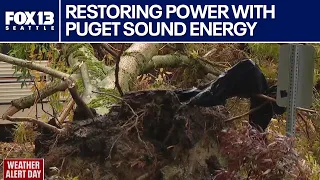 Tracking post-storm power outages with Puget Sound Energy